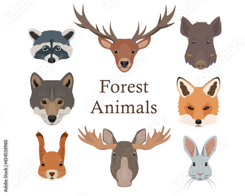 Forest animals faces set. Wild woodland mammal animal head collection. Fox, wolf, hare, Squirrel, boar, deer, elk and raccoon face. Vector illustration isolated on white background.