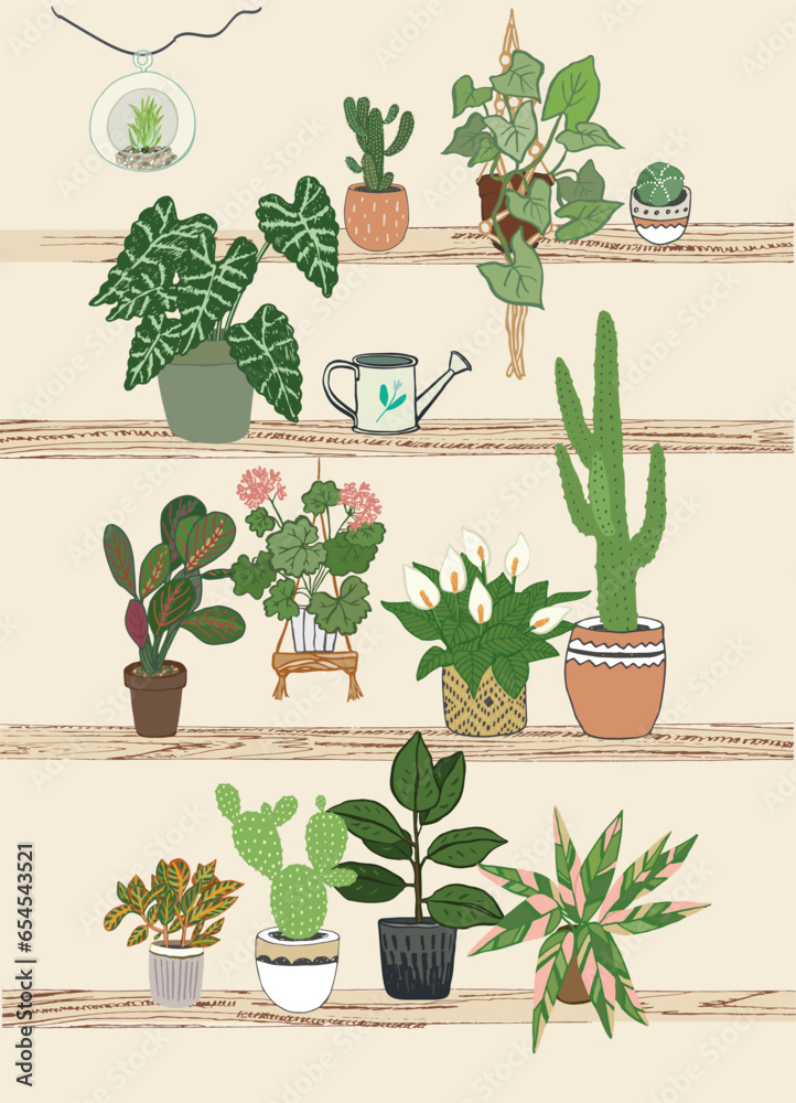 Fototapeta premium Home plants vector illustrations set.