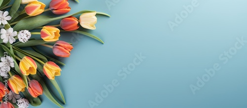 Laptop and tulip flowers on blue background Spring holidays online shopping concept Top view