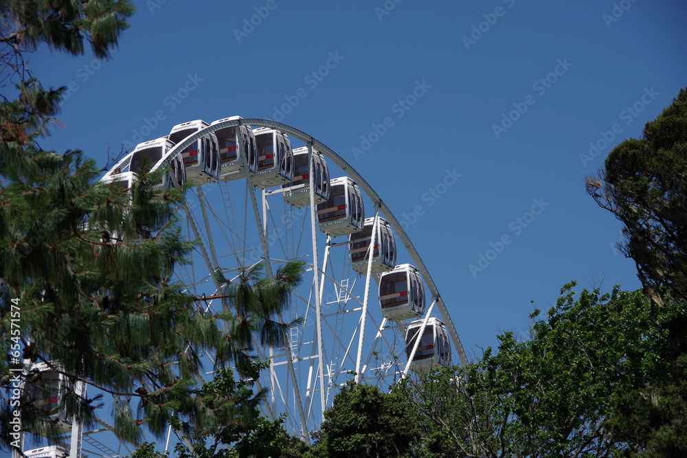 Fototapeta premium SkyStar Ferriswheel in the Golden Gate Park in San Francisco