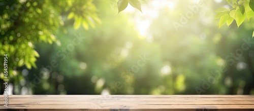 Green tree garden with wood table for food display bokeh light background in spring and summer
