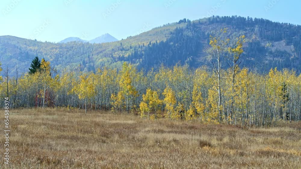 Camera panning left over beautiful valley with leaves turning yellow during autumn fall. Camera panning left over beautiful valley with leaves turning yellow during autumn fall.