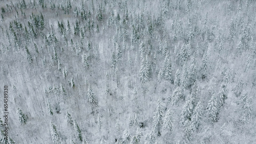 Top view of snow-covered winter forest. Clip. Coniferous forest with snow trees on cloudy day. Vast forest with snow in winter