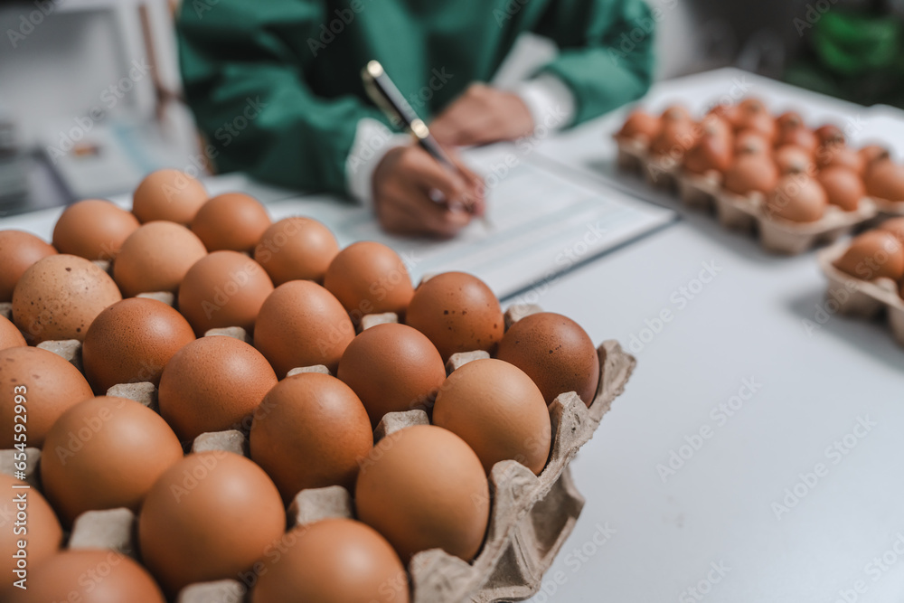 Skilled food factory technologist meticulously examines chicken eggs on production line, ensuring highest quality standards are maintained for food industry. Quality Control Expert Inspecting Skilled food factory technologist meticulously examines chicken eggs on production line, ensuring highest quality standards are maintained for food industry. Quality Control Expert Inspecting