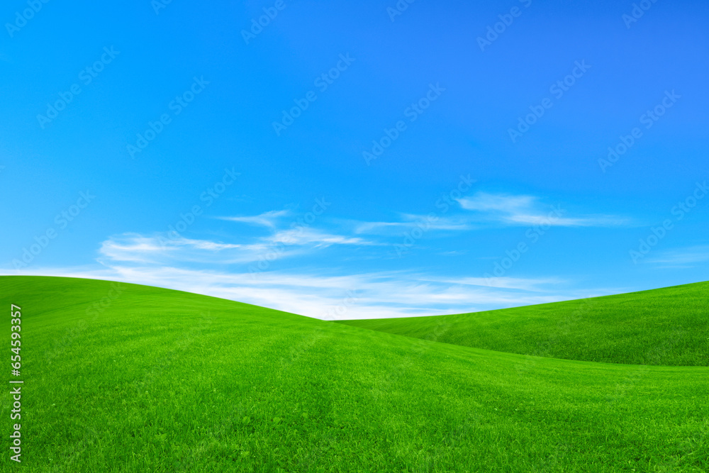 Lush green grass under bright blue sky with clouds