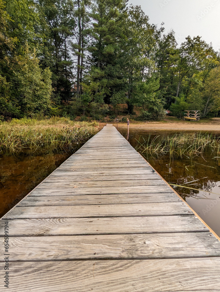 Naklejka premium wooden boat dock in the forest