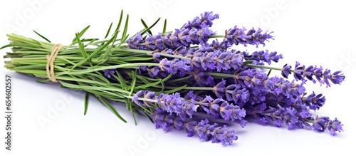 Isolated bouquet of lavender flowers and leaves for alternative medicine design