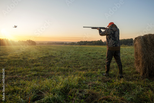 Hunting for a pheasant. Hunter with gun aiming on pheasant.