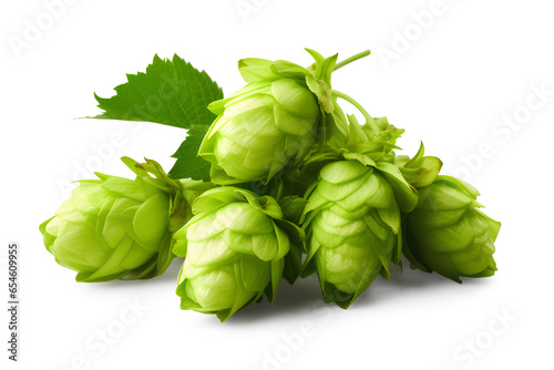Green hops isolated on a transparent background, Generative AI photo