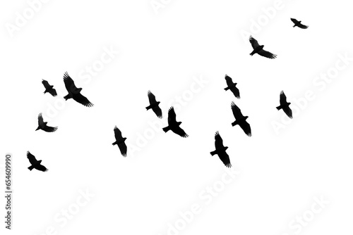 flock of silhouettes of bird illustration on photography, transparent background, Generative AI © mizan