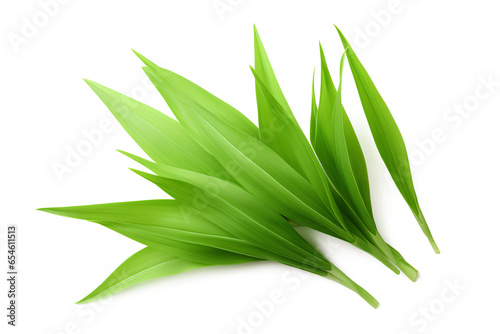 Fresh green pandan leaves isolated on a transparent background, Generative AI