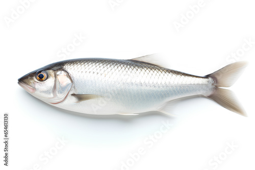 One Fresh Sea Fish Isolated on a Transparent Background, Generative AI