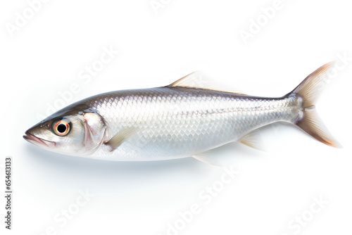 One Fresh Sea Fish Isolated on a Transparent Background, Generative AI