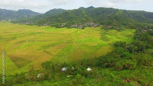 Drone view at the spider web rice field in Cancar Ruteng in Indonesia. Beautiful rice field in the village photo