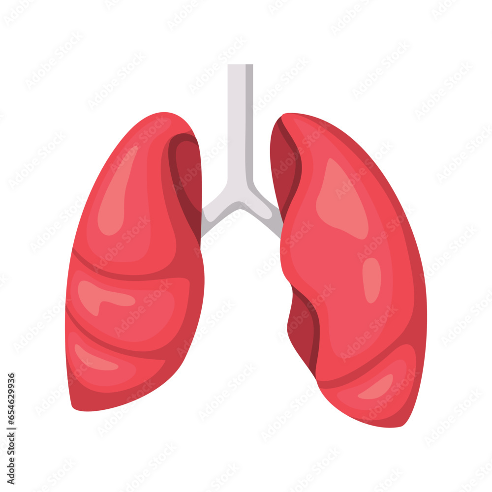 Lungs icon design illustration. Vector design Lungs icon design illustration. Vector design