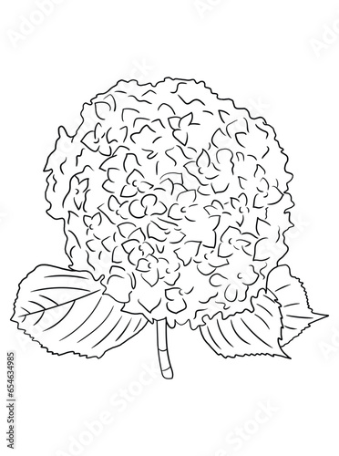  Embark on a delightful coloring journey with this captivating black-and-white flower design. Ideal for kids' coloring books, children can explore their creativity and bring these blooms to life.