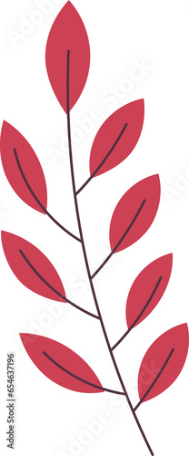 red rose petals