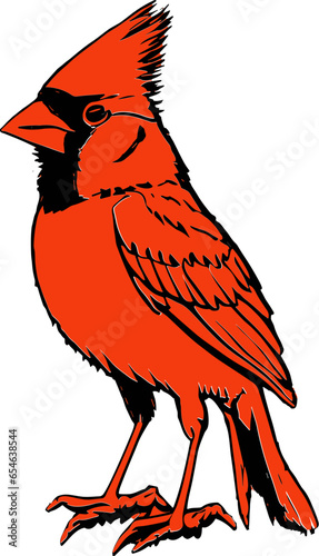 Red northen cardinal drawing vector 