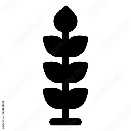 grow