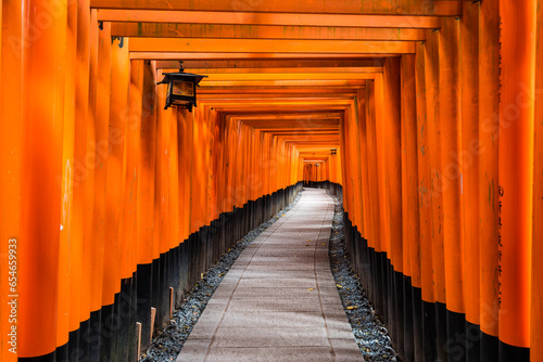 Red Torii gates along footpath in Fushimi Inari Shrine  Kyoto