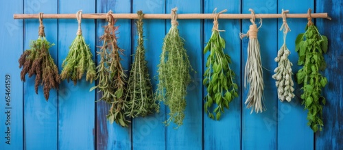 Various herbs hanging on antique blue wooden background for seasoning idea photo