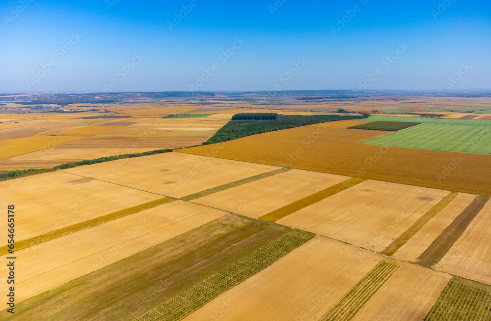 Fototapeta premium Aerial view of a field with cultivated agricultural land