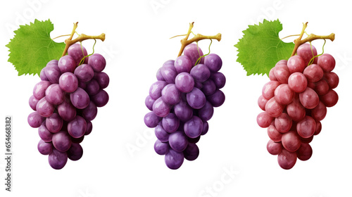 Set of fresh grapes on transparent background