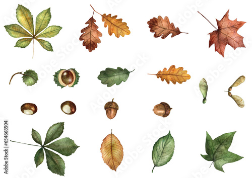  Leaves Autumn