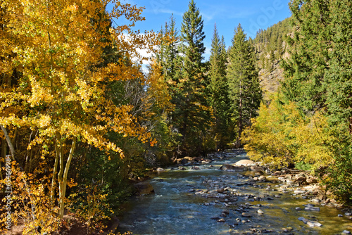 changing aspen and cottonwood trees and mountains at the duck creek picnic on a sunny fall day  along geneva road on the way to kenosha pass in the  colorado rockies photo