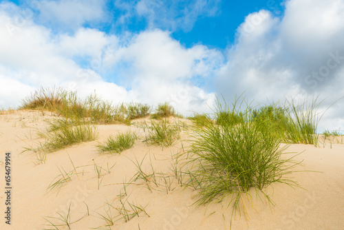 Fototapeta Naklejka Na Ścianę i Meble -  Valdevaqueros dune in Tarifa, Cadiz, Spain