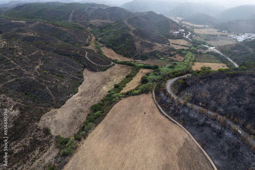 Burnt trees in forest after wildfire in National Park in Portugal, aerial drone view Burnt trees in forest after wildfire in National Park in Portugal, aerial drone view