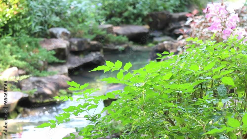 Water fall with sunlight beautiful view nature, stock footage Water fall with sunlight beautiful view nature, stock footage