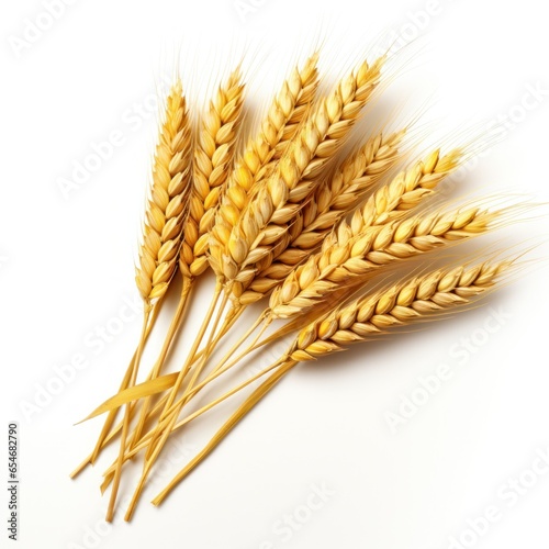 Ear of wheat isolated on white background