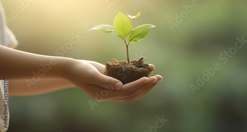 hand  holding a small tree for planting hand holding sprouts for growing nature on blur green nature background and sunlight  Ai Generative