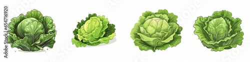 Set of cartoon lettuce vegetable illustration, isolated on white background