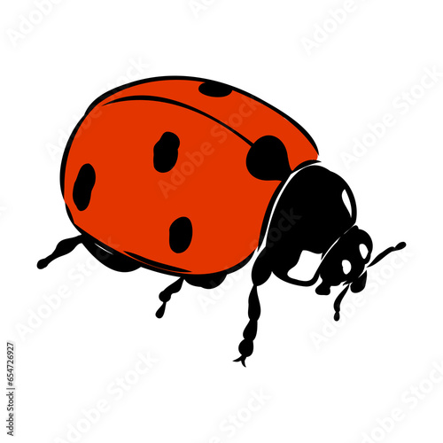 Hand drawn ink sketch of ladybug ladybug, vector sketch