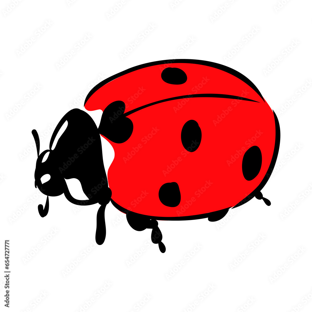 Hand drawn ink sketch of ladybug ladybug, vector sketch Hand drawn ink sketch of ladybug ladybug, vector sketch