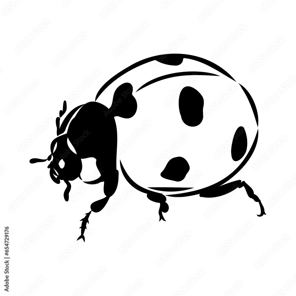 Hand drawn ink sketch of ladybug ladybug, vector sketch