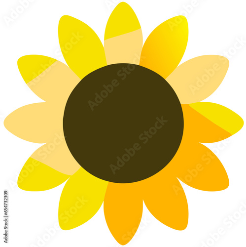 sun flower vector illustration