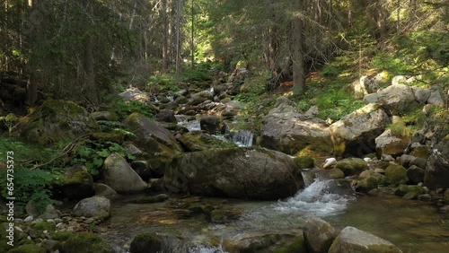 Wallpaper Mural Flight low over Demianitsa river in Pirin mountain in Bulgaira, Europe. HQ 4K Apple ProRes video. Torontodigital.ca