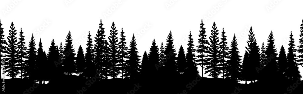 Evergreen trees forest silhouette. Seamless border. vector illustration