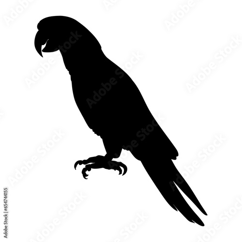 Parrot standing silhouette. Vector illustration