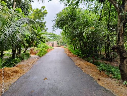 Road in the green forest, Thailand. Nature and environment concept