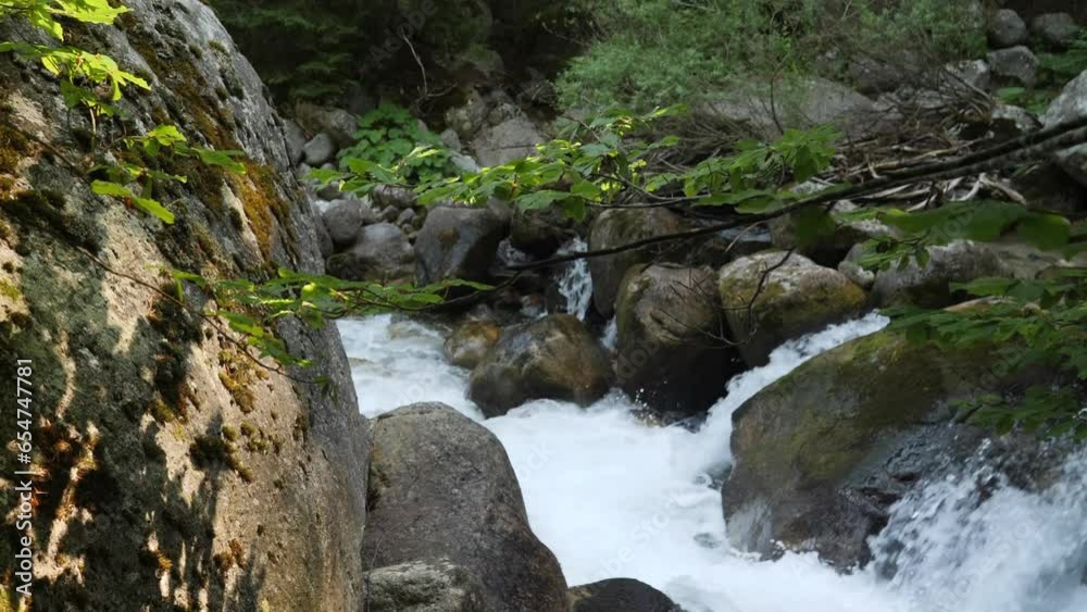 Mountain river Demianitsa in pine tree forest in Pirin Mountain in Bulgaria, Europe. HQ Full HD real time Apple ProRes video. Mountain river Demianitsa in pine tree forest in Pirin Mountain in Bulgaria, Europe. HQ Full HD real time Apple ProRes video.