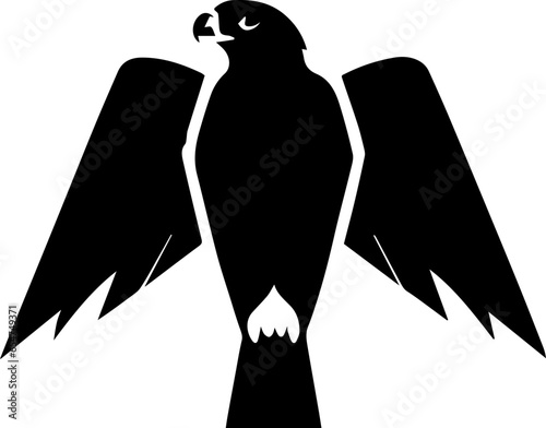 Falcon icon 6