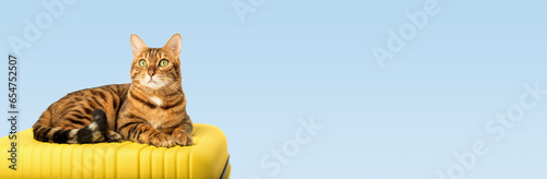 A Bengal cat lies on a yellow suitcase.