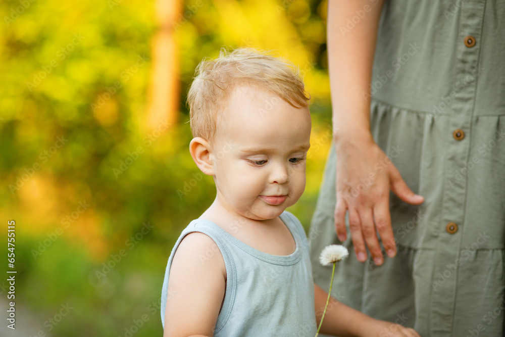 Cute little blond boy holding fluffy dandelion, child playing on summer nature Cute little blond boy holding fluffy dandelion, child playing on summer nature