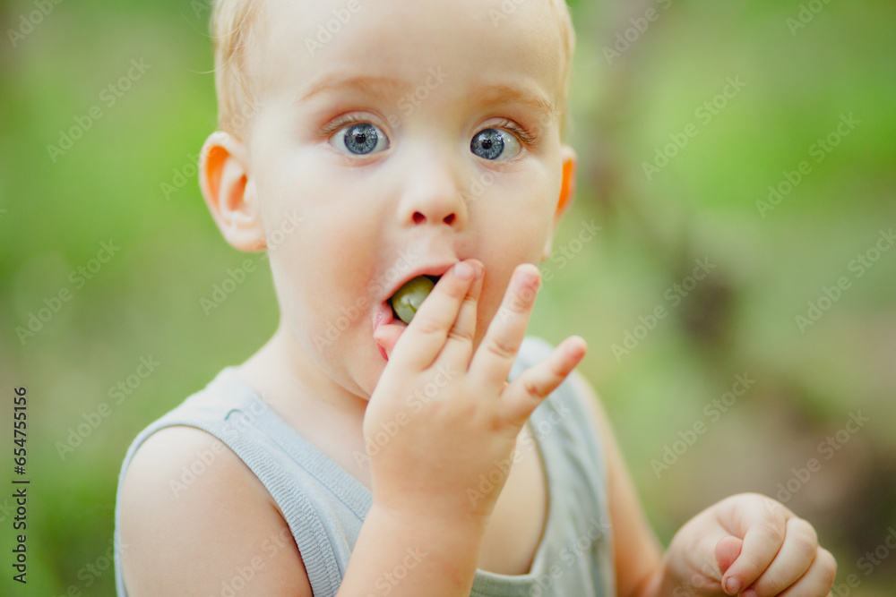 little cute boy put grape berry in mouth on nature, funny child, rural scene little cute boy put grape berry in mouth on nature, funny child, rural scene