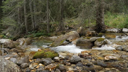 Mountain river Demianitsa in pine tree forest in Pirin Mountain in Bulgariq, Europe. HQ4K Apple ProRes video. photo