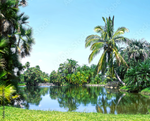 Fairchild Tropical Gardens Miami Florida photo